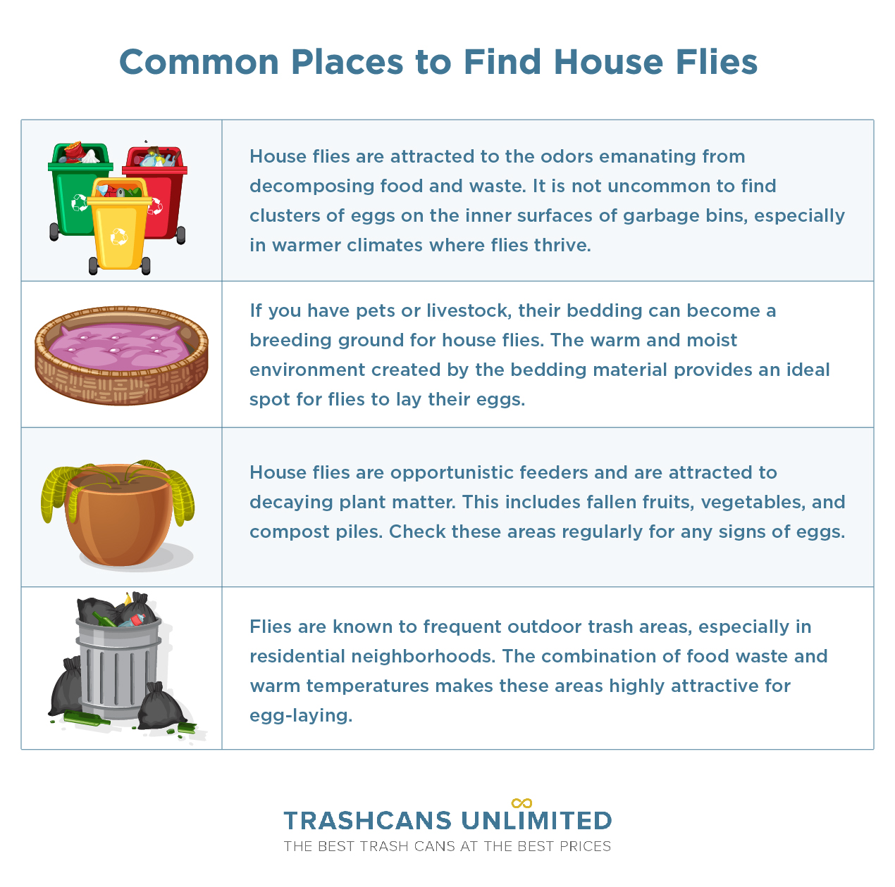 Common Places to Find House Flies