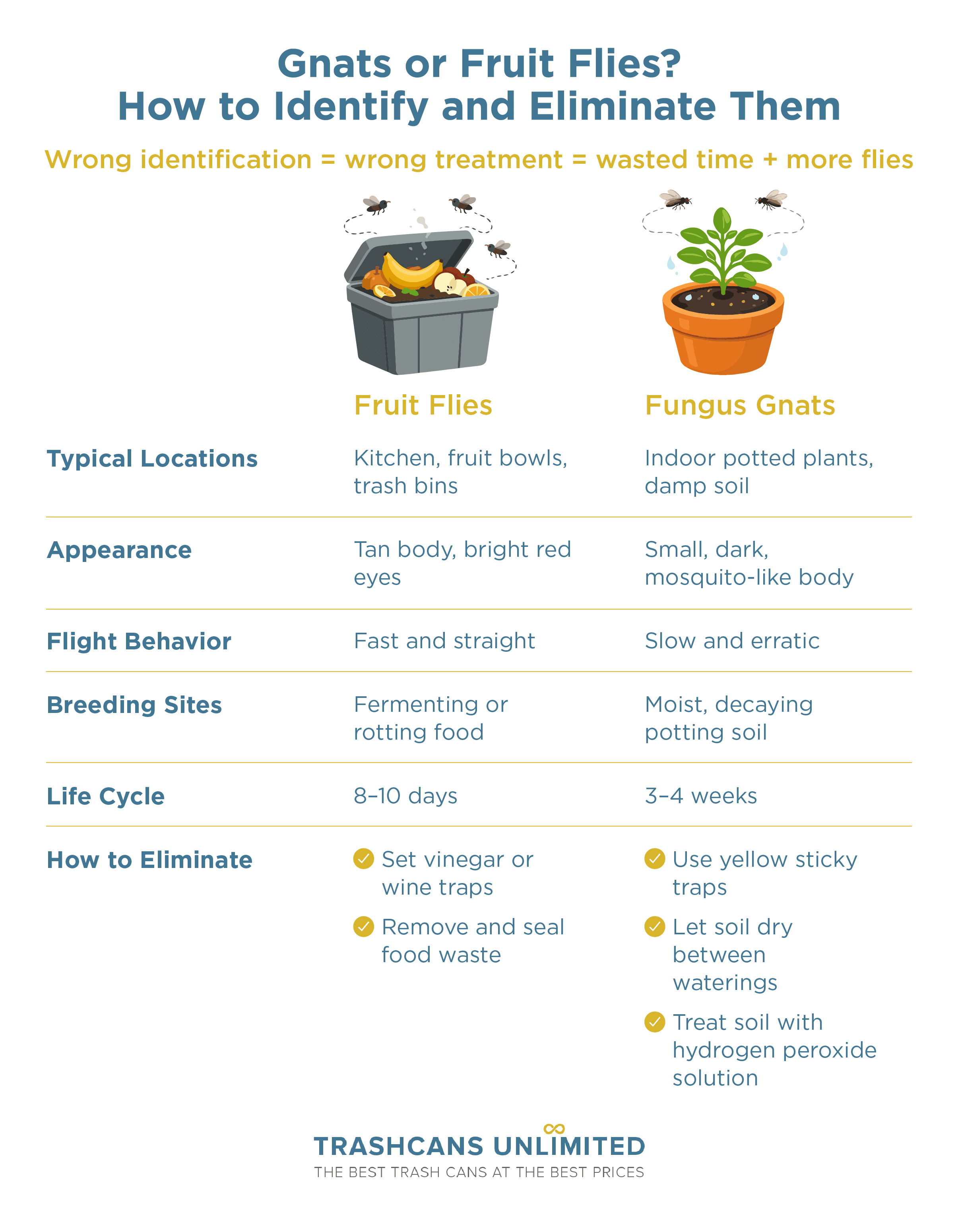 Gnats or Fruit Flies? How to Identify and Eliminate Them