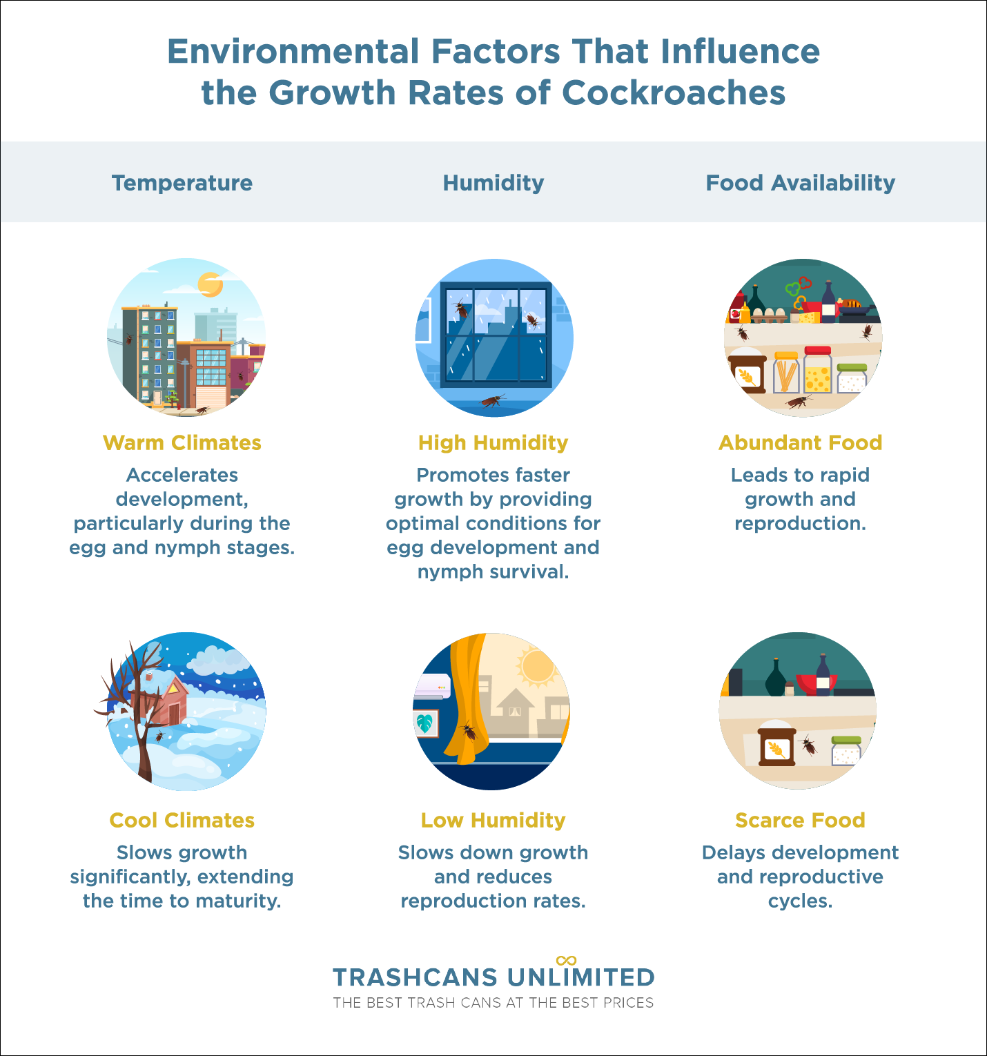 How Fast Do Cockroaches Grow?