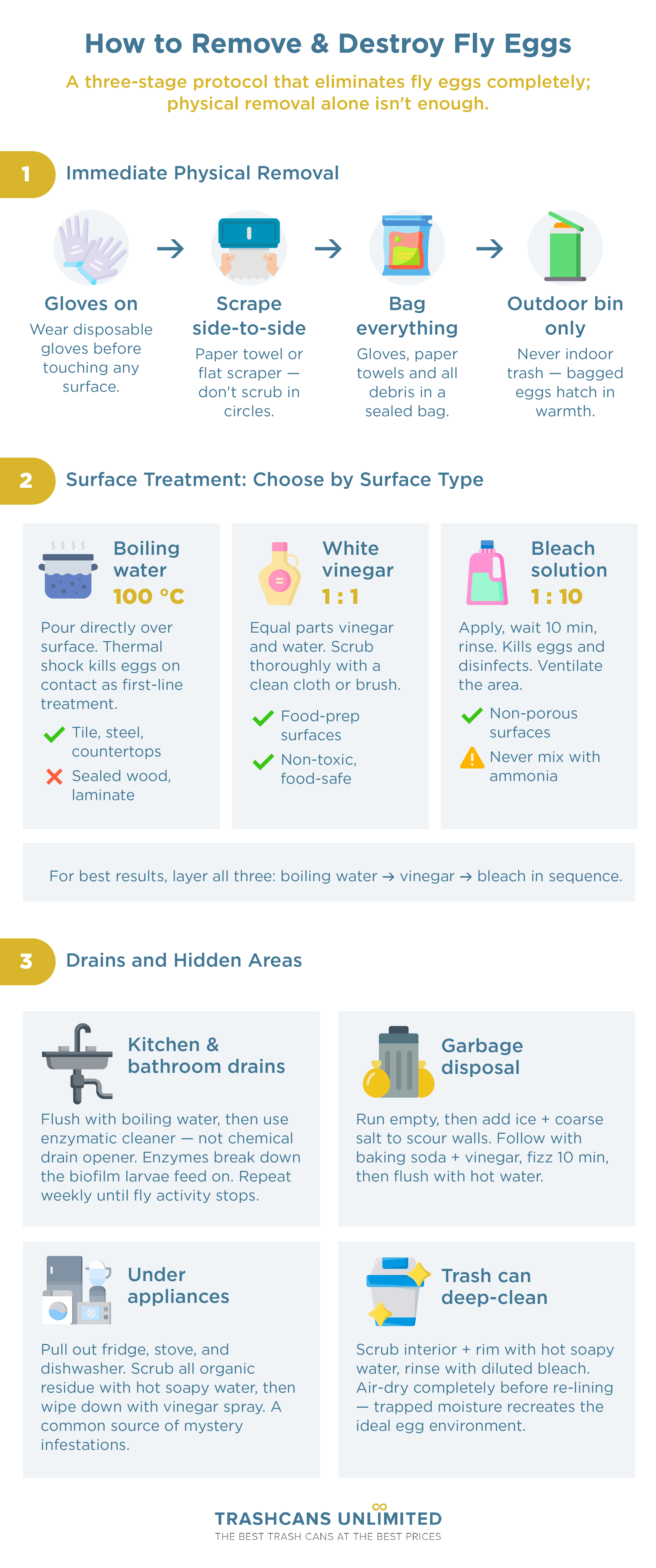 How to Get Rid of Fly Eggs: Infographic of three-stage protocol that eliminates fly eggs completely; physical removal alone isn't enough.