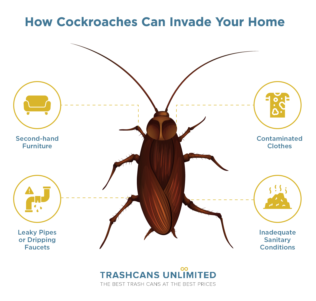 How Cockroaches Can Invade Your Home