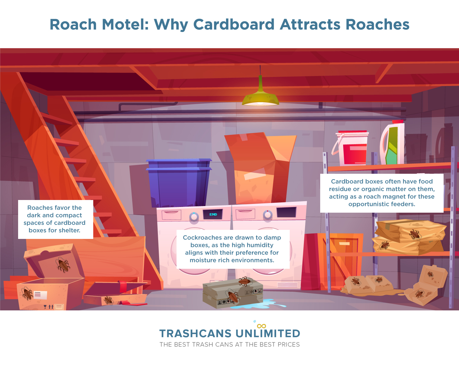 Roach Motel: Why Cardboard Attracts Roaches