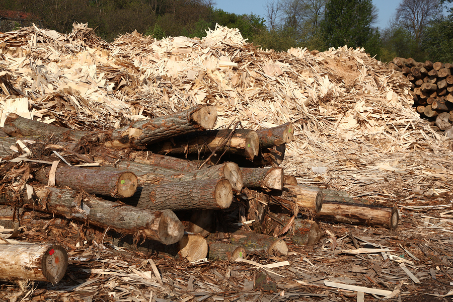 Types of wood waste