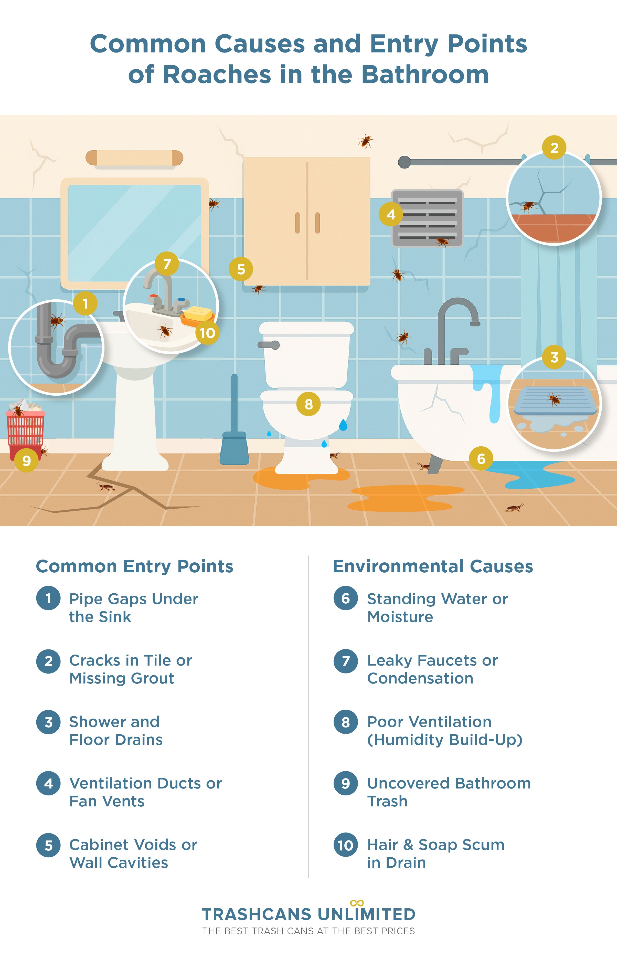 Diagram answering “Why do I have roaches in my bathroom?” highlighting drains, pipe gaps, cracks, and moisture that attract them.